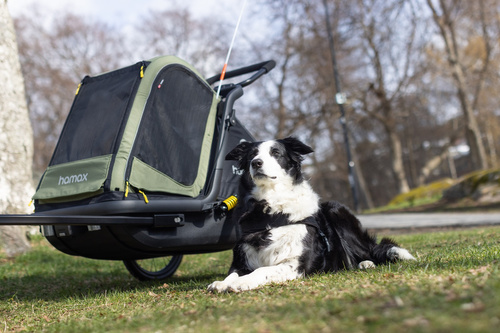 Bicycle trailer for a dog - Hamax Pluto M 35 kg - Green / Black
