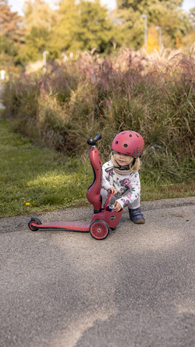 SCOOTANDRIDE - Highwaykick 1 Lifestyle 2in1 Ride-on and scooter with lockable storage 1-5 years Wildcat