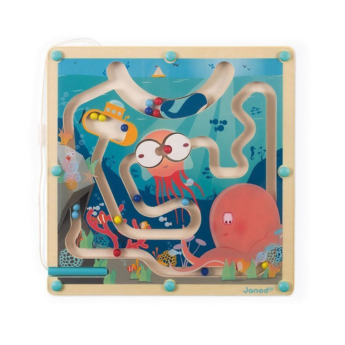 Janod - The magnetic maze of the Ocean