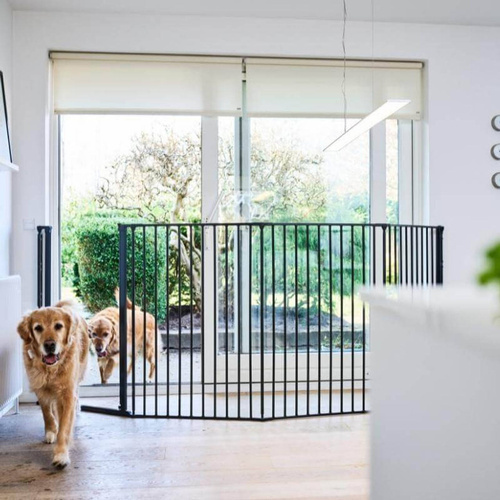 DogSpace - Rocky L Extra Tall Multi Expandable Pet Gate, Black (90-221cm)