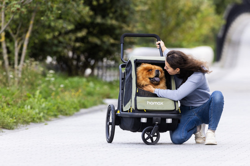 Bicycle trailer for a dog - Hamax Pluto M 35 kg - Green / Black