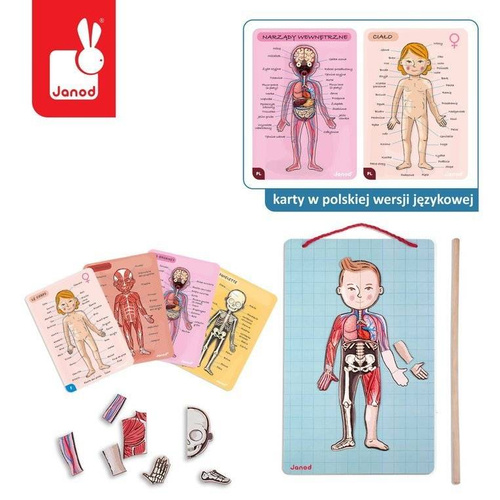 Janod - The magnetic puzzle Human body