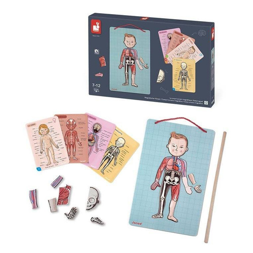 Janod - The magnetic puzzle Human body