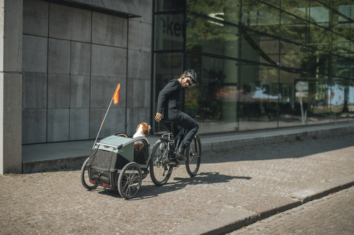 Bicycle trailer for a dog - Thule Bexey L up to 45 kg - Haze green