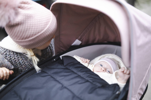 Thule Shine - Bassinet