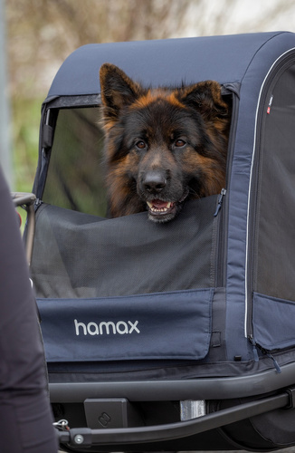 Bicycle trailer for a dog - Hamax Pluto L 45 kg - Blue / Black