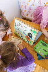 Janod - Ships magnetic game