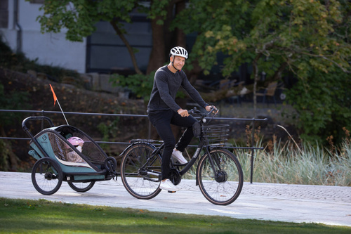 Hamax - Bike trailer for kids COCOON ONE - Green/black