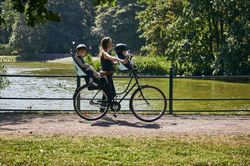 THULE Yepp Nexxt Maxi Frame Mounted - Child bike seat - Mint Green