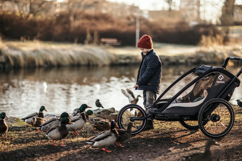 Hamax - Bike trailer for kids COCOON , double- Grey/black