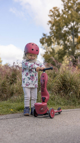 SCOOTANDRIDE - Highwaykick 1 Lifestyle 2in1 Ride-on and scooter with lockable storage 1-5 years Wildcat