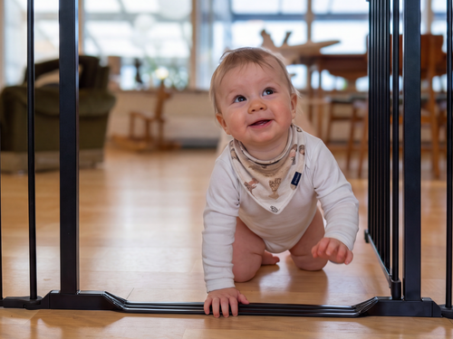 BabyDan - Flex StepFree M safety gate, black