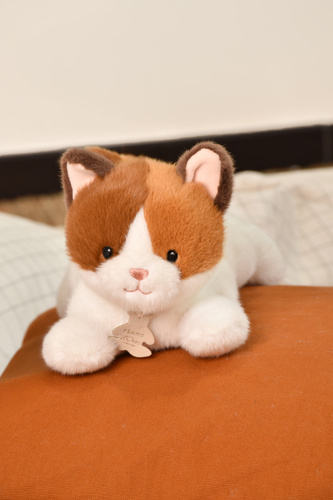 DOUDOU – Les P'tits Relax weighted plush cat, Histoire d'Ours, 22 cm, orange and white