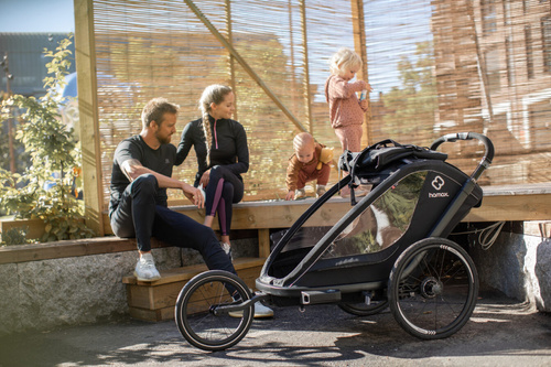Hamax - Bike trailer for kids BREEZE, double- Back