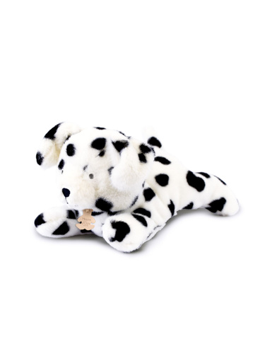 DOUDOU – Les P'tits Relax weighted plush dalmatian dog, Histoire d'Ours, 30 cm, white