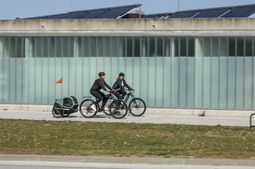 Bicycle trailer for a dog - Thule Bexey L up to 45 kg - Haze green