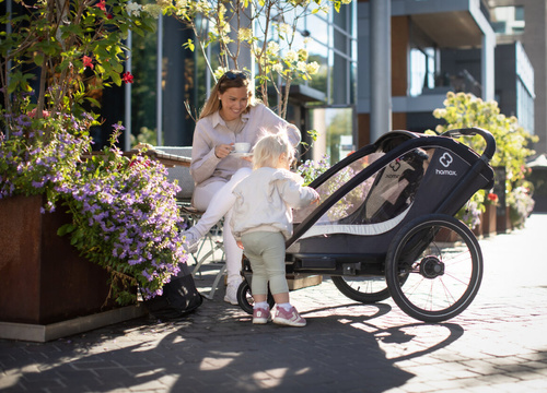 Hamax - Bike trailer for kids COCOON , double- Grey/black