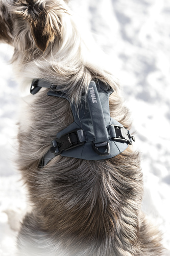 Thule - Dart harness XS, dark slate