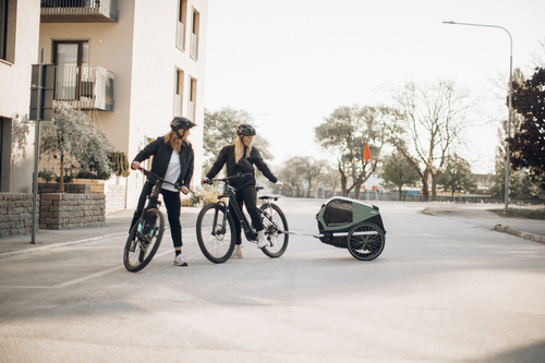 Bicycle trailer for a dog - Thule Bexey M up to 35 kg - Haze green