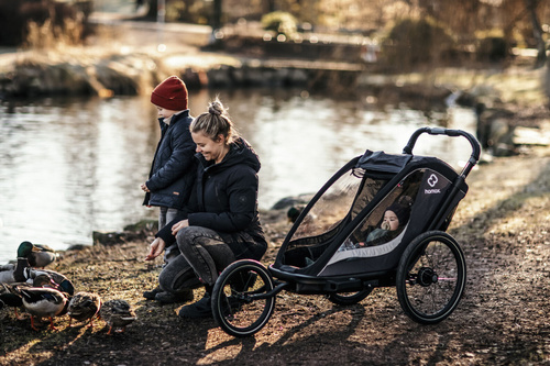 Hamax - Bike trailer for kids COCOON ONE- Grey/black