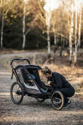 Hamax - Bike trailer for kids COCOON , double- Grey/black