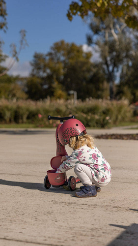 SCOOTANDRIDE - Highwaykick 1 Lifestyle 2in1 Ride-on and scooter with lockable storage 1-5 years Wildcat