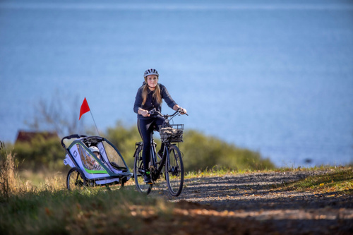 Hamax - Bike trailer for kids  BREEZE ONE - White/green