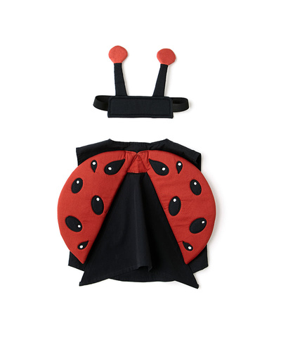 Kid's Concept - Ladybug