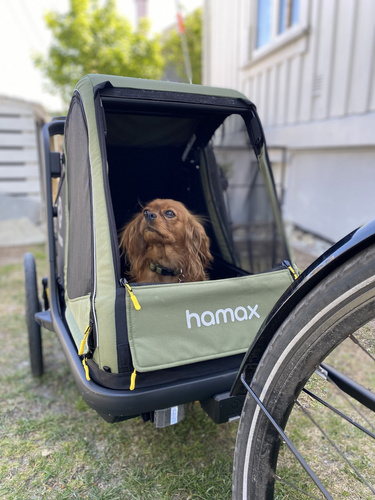 Bicycle trailer for a dog - Hamax Pluto M 35 kg - Green / Black