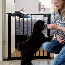 DogSpace - Lassie Pressure Fitted Dog Gate, Black (73.5-79.6cm)