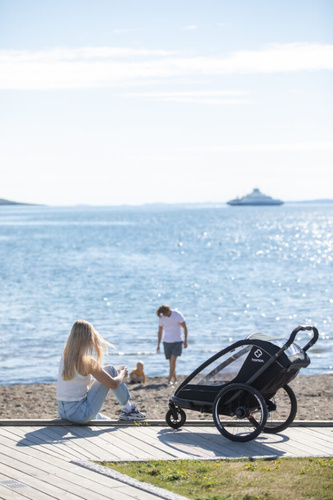 Hamax - Bike trailer for kids  BREEZE ONE + Jogger wheel - Black