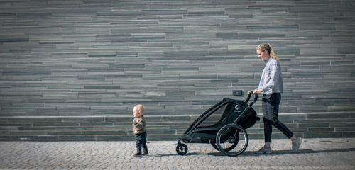 Hamax - Bike trailer for kids BREEZE, double- Back