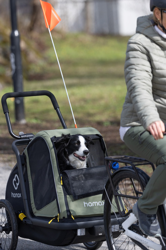 Bicycle trailer for a dog - Hamax Pluto M 35 kg - Green / Black