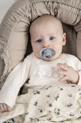 ELODIE DETAILS - silicone pacifier 0-6m, Binky Bundle, Blueberry Bliss - 2 pack