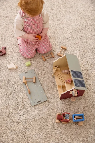 Kid's Concept - AIDEN Farm animals