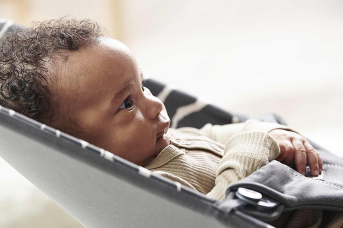 BABYBJÖRN - Bouncer Bliss, Anthracite/Landscape Print, Cotton