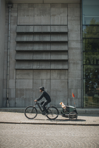 Bicycle trailer for a dog - Thule Bexey L up to 45 kg - Haze green