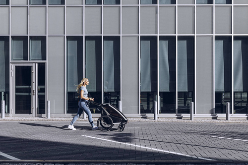 Thule Chariot Lite 2 Agave-Black