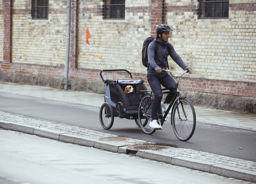 THULE Courier - Aegean Blue