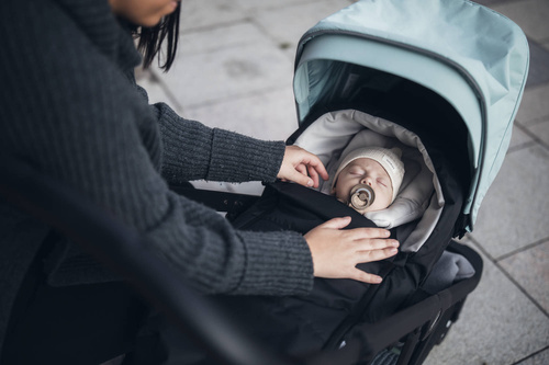 Thule Shine/Spring /Urban Glide 2/Urban Glide 2 Double - Baby Nest