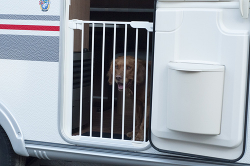 Baby Dan - SlimFit Gate with 1 extensions, white