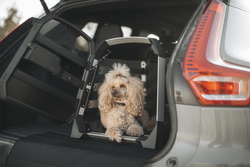 THULE - Allax dog cage mat, standard