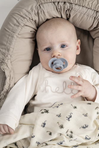 ELODIE DETAILS - silicone pacifier 0-6m, Binky Bundle, Blueberry Bliss - 2 pack