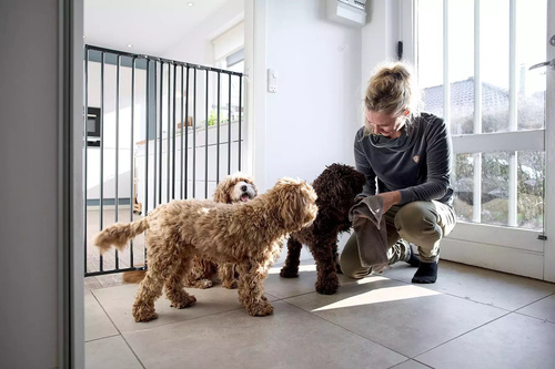 DogSpace - Charlie Extra Tall Extending Dog Gate, Black (63.5-107cm)