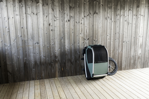 Bicycle trailer for a dog - Thule Bexey L up to 45 kg - Haze green