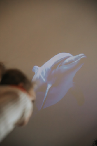 Kidywolf - KIDYSTAR Projector for Children, Green