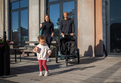 Hamax - Bike trailer for kids COCOON , double - Green/black