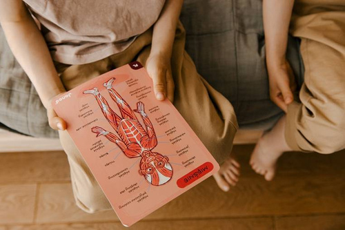 Janod - The magnetic puzzle Human body