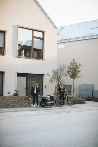 Bicycle trailer for a dog - Thule Bexey M up to 35 kg - Haze green