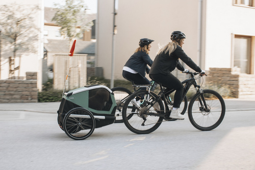 Bicycle trailer for a dog - Thule Bexey M up to 35 kg - Haze green